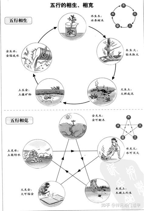 梓的五行